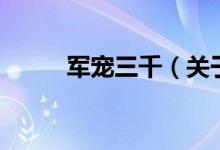 軍寵三千（關于軍寵三千的介紹）