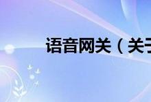 語音網關（關于語音網關的介紹）