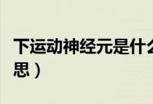 下運動神經(jīng)元是什么病(下運動神經(jīng)元什么意思)