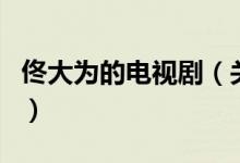 佟大為的電視?。P(guān)于佟大為的電視劇的介紹）