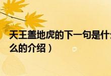 天王蓋地虎的下一句是什么（關于天王蓋地虎的下一句是什么的介紹）