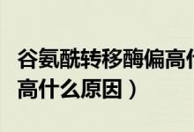 谷氨酰轉(zhuǎn)移酶偏高什么問(wèn)題（谷氨酰轉(zhuǎn)移酶偏高什么原因）