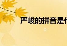 嚴(yán)峻的拼音是什么(嚴(yán)峻的拼音)