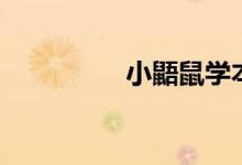 小鼯鼠學本領（小鼯鼠）