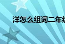 洋怎么組詞二年級上冊（洋怎么組詞）
