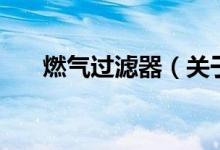 燃?xì)膺^(guò)濾器(關(guān)于燃?xì)膺^(guò)濾器的介紹)