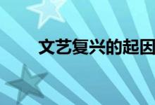 文藝復(fù)興的起因（文藝復(fù)興的實(shí)質(zhì)）
