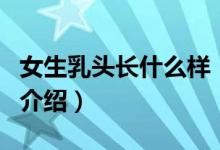 女生乳頭長什么樣（關于女生乳頭長什么樣的介紹）