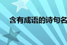 含有成語(yǔ)的詩(shī)句名句（含有成語(yǔ)的詩(shī)句）