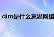 dim是什么意思網(wǎng)絡用語（dim是什么意思）