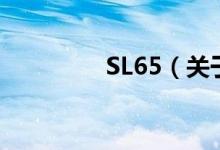 SL65（關于SL65的介紹）