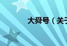 大舜號（關(guān)于大舜號的介紹）