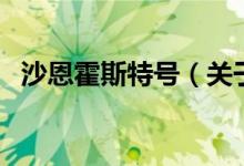 沙恩霍斯特號（關于沙恩霍斯特號的介紹）