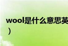 wool是什么意思英語(yǔ)翻譯（wool是什么意思）