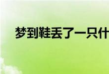 夢(mèng)到鞋丟了一只什么意思（夢(mèng)到鞋丟了）