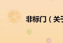 非標(biāo)門(mén)（關(guān)于非標(biāo)門(mén)的介紹）