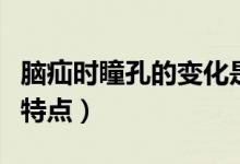 腦疝時(shí)瞳孔的變化是（腦疝發(fā)生時(shí)瞳孔的變化特點(diǎn)）