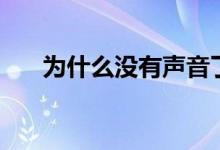 為什么沒有聲音了（為什么沒有聲音）