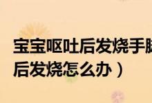 寶寶嘔吐后發(fā)燒手腳發(fā)燙怎么回事(寶寶嘔吐后發(fā)燒怎么辦)