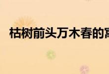 枯樹(shù)前頭萬(wàn)木春的寓意（枯樹(shù)前頭萬(wàn)木春）
