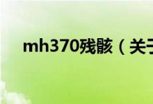 mh370殘?。P(guān)于mh370殘骸的介紹）