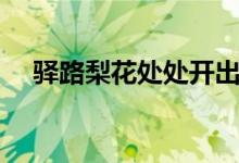驛路梨花處處開出自哪首詩(shī)（驛路梨花）
