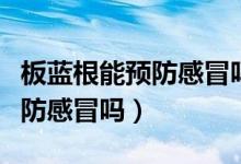 板藍根能預(yù)防感冒嗎兒童能吃嗎（板藍根能預(yù)防感冒嗎）