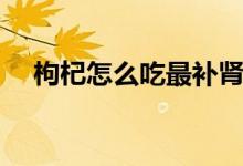 枸杞怎么吃最補腎（枸杞怎么吃最補腎）