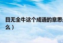 目無(wú)全牛這個(gè)成語(yǔ)的意思是什么（目無(wú)全牛成語(yǔ)的意思是什么）