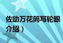 佐助萬花筒寫輪眼（關(guān)于佐助萬花筒寫輪眼的介紹）