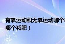 有氧運動和無氧運動哪個減肥更合適（有氧運動和無氧運動哪個減肥）