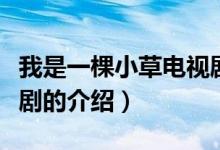 我是一棵小草電視劇（關于我是一棵小草電視劇的介紹）