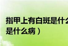 指甲上有白斑是什么病的前兆（指甲上有白斑是什么?。?class=