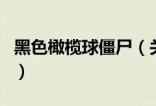 黑色橄欖球僵尸（關于黑色橄欖球僵尸的介紹）