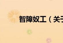 智障奴工（關于智障奴工的介紹）