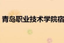 青島職業(yè)技術學院宿舍怎么樣（環(huán)境好不好）