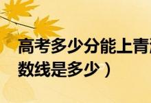高考多少分能上青海師范大學(xué)(2020錄取分?jǐn)?shù)線是多少)