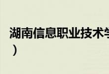 湖南信息職業(yè)技術學院怎么樣（全國排名第幾）