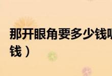 那開眼角要多少錢呢（想去開個眼角大概多少錢）