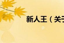 新人王（關于新人王的介紹）