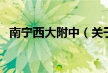 南寧西大附中（關于南寧西大附中的介紹）