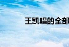 王凱唱的全部歌曲(王凱簡歷)