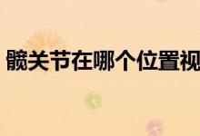 髖關(guān)節(jié)在哪個(gè)位置視頻（髖關(guān)節(jié)在哪個(gè)位置）