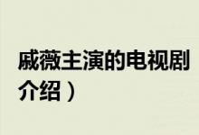 戚薇主演的電視?。P(guān)于戚薇主演的電視劇的介紹）