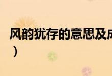 風(fēng)韻猶存的意思及成語(yǔ)解釋?zhuān)L(fēng)韻猶存的意思）