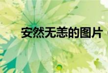 安然無(wú)恙的圖片（安然無(wú)恙的近義詞）