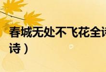 春城無處不飛花全詩(shī)意思（春城無處不飛花全詩(shī)）