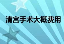清宮手術(shù)大概費(fèi)用（清宮手術(shù)需要多少錢）