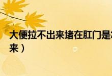 大便拉不出來(lái)堵在肛門是怎么回事（有大便堵在肛門拉不出來(lái)）