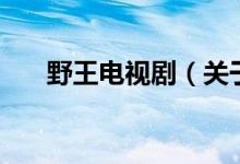 野王電視?。P(guān)于野王電視劇的介紹）